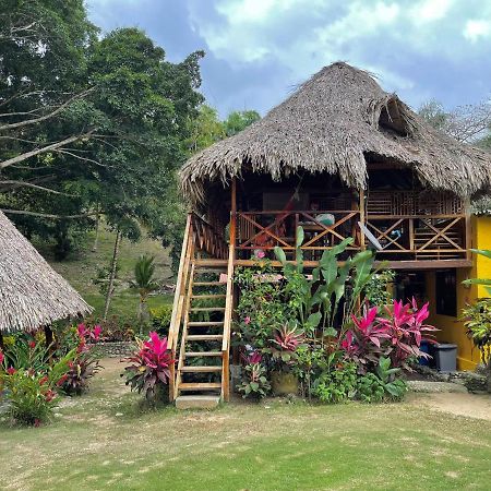 Ecohostal Palmares Del Rio Guachaca Ngoại thất bức ảnh