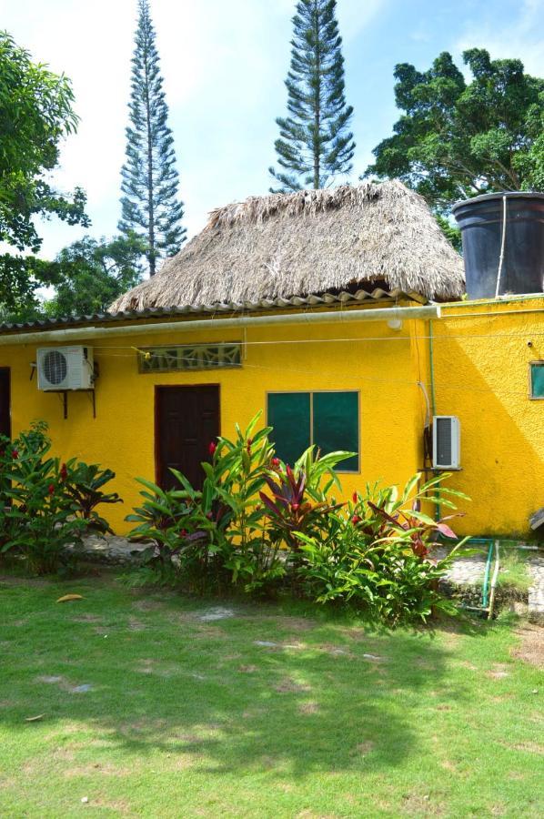 Ecohostal Palmares Del Rio Guachaca Ngoại thất bức ảnh