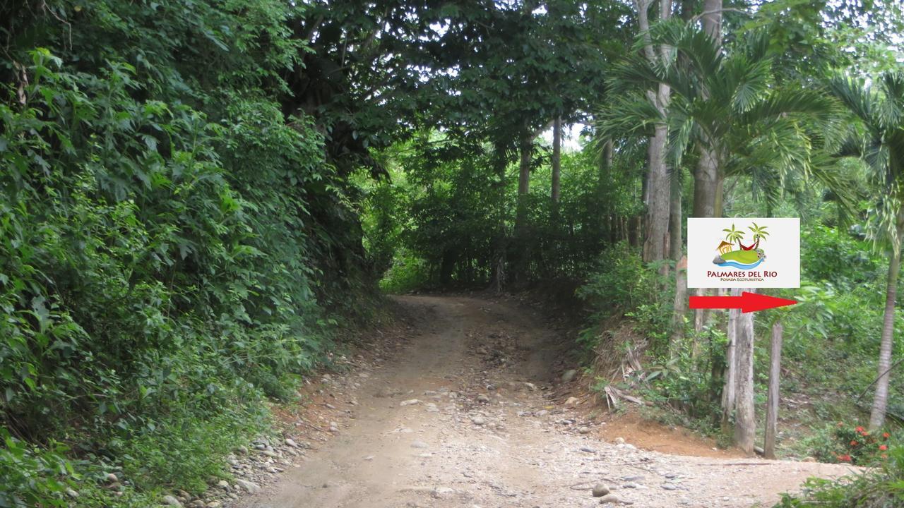 Ecohostal Palmares Del Rio Guachaca Ngoại thất bức ảnh