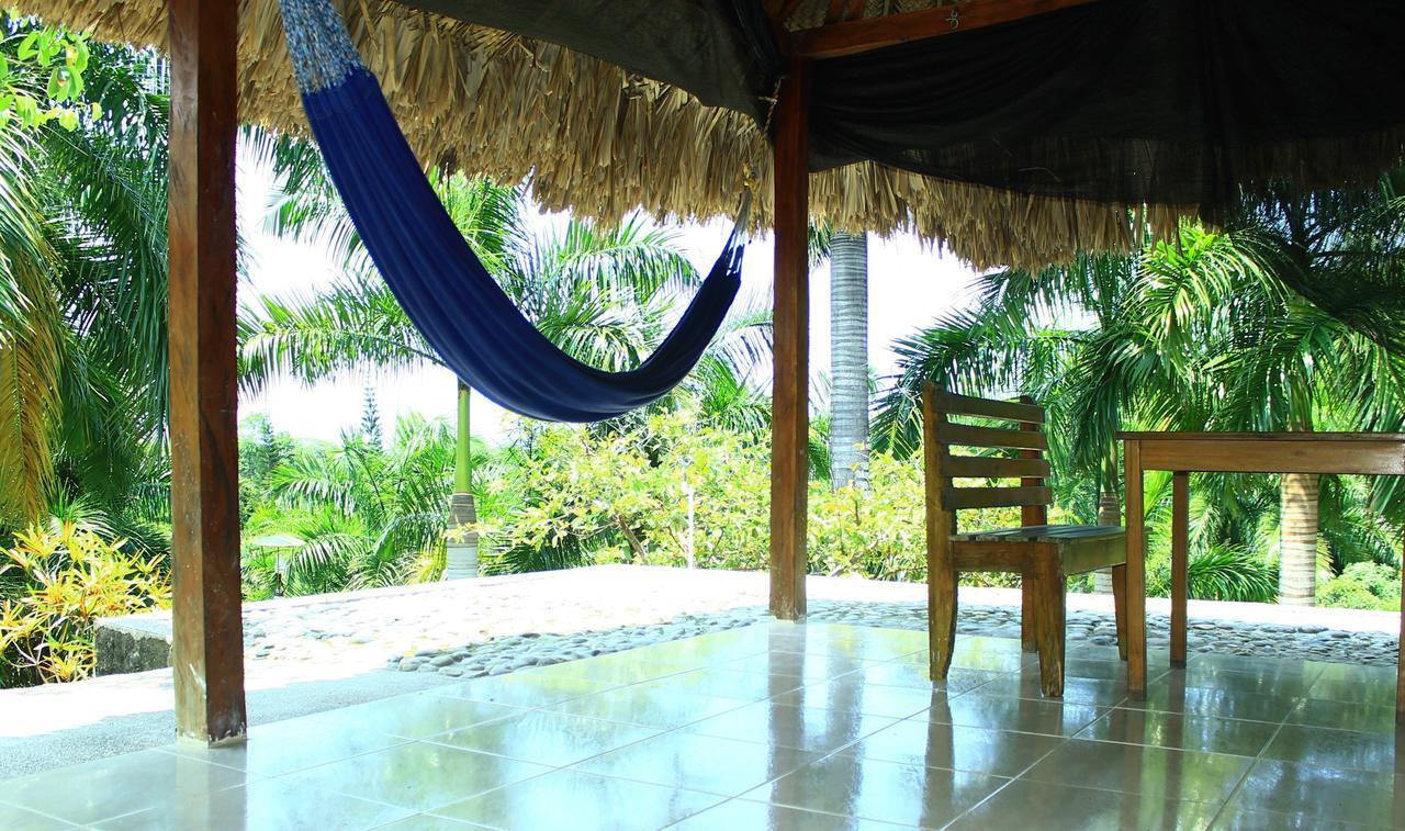 Ecohostal Palmares Del Rio Guachaca Ngoại thất bức ảnh