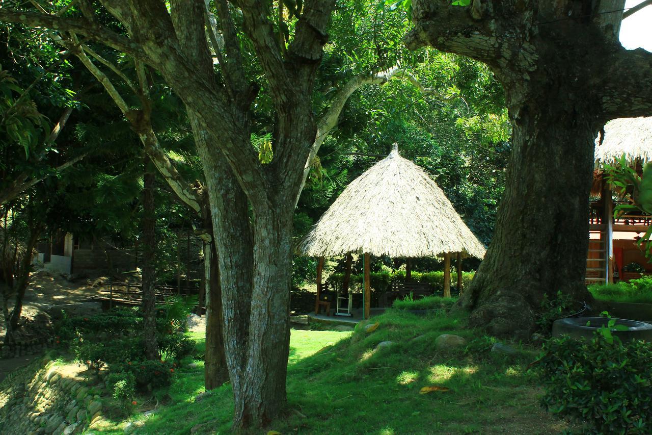 Ecohostal Palmares Del Rio Guachaca Ngoại thất bức ảnh